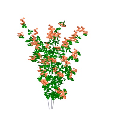 现代花草植物免费su模型(1)