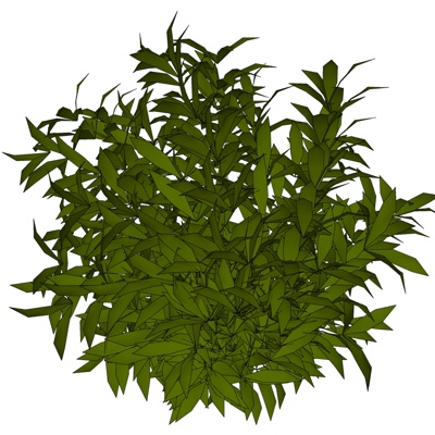 现代富贵竹免费su模型(1)