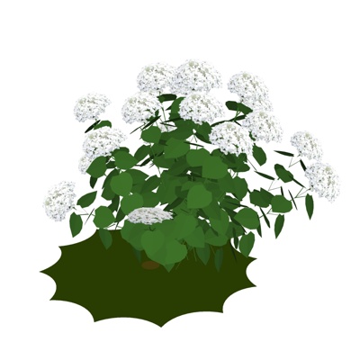 现代丁香花植物免费su模型(1)