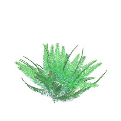 现代棕榈免费su模型(1)