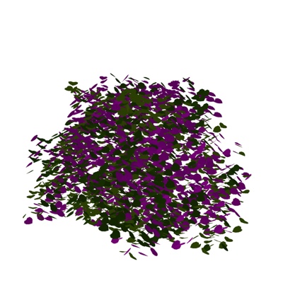 现代花草植物免费su模型(1)
