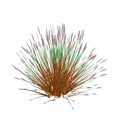 现代花草植物免费su模型(1)