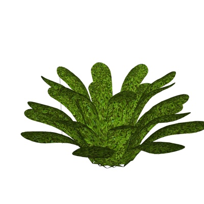现代地被植物免费su模型(1)