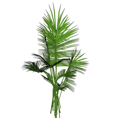 现代棕榈免费su模型(1)