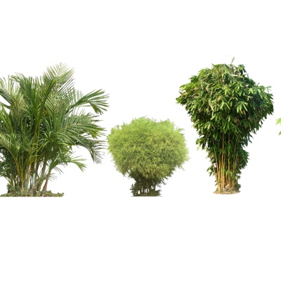 现代花草植物组合免费su模型(1)