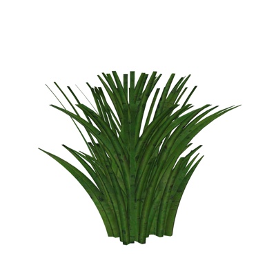 现代花草植物免费su模型(1)