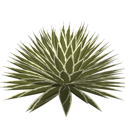现代剑麻植物免费su模型(1)
