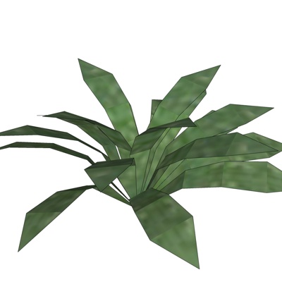 现代花草植物免费su模型(1)
