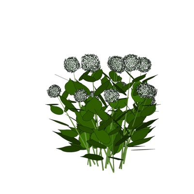 现代花草植物免费su模型(1)