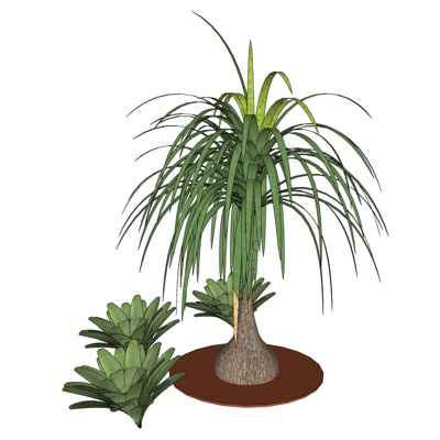 现代花草植物免费su模型(1)