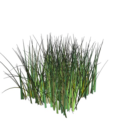 现代花草植物免费su模型(1)