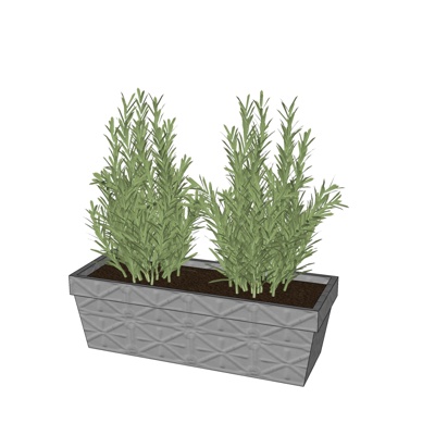 现代花草植物免费su模型(1)
