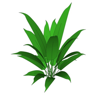 现代花草植物免费su模型(1)