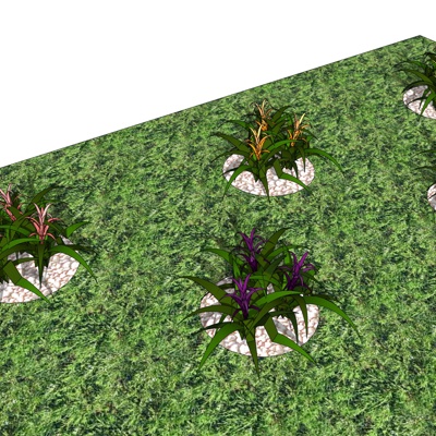 现代花草植物组合免费su模型(1)