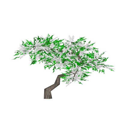 现代花草植物免费su模型(1)