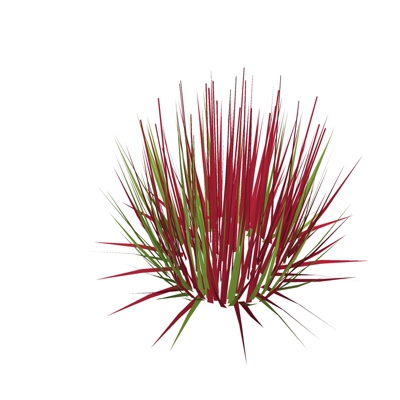 现代花草植物免费su模型(1)