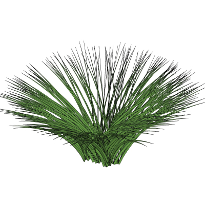 现代花草植物免费su模型(1)