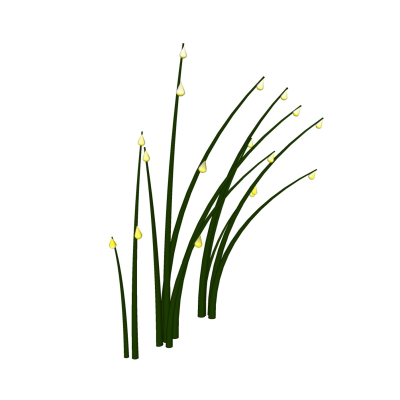 现代花草植物免费su模型(1)