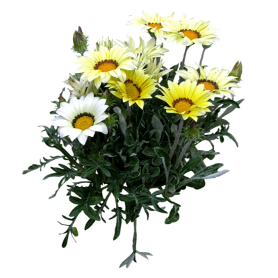 现代2d花草植物组件免费su模型(1)