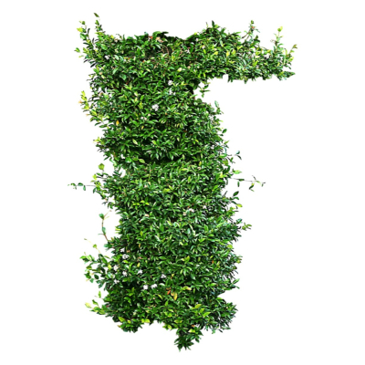 现代2d花草植物组件免费su模型(1)