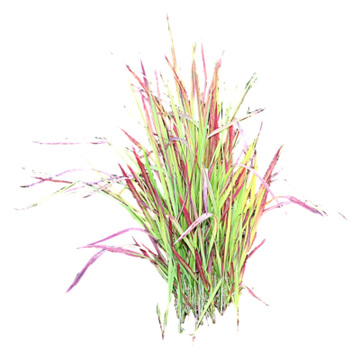 现代2d花草植物组件免费su模型(1)
