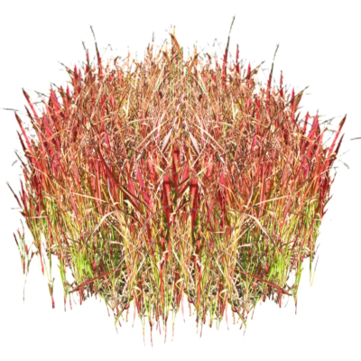 现代2d花草植物组件免费su模型(1)