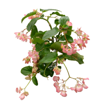 现代2d花草植物组件免费su模型(1)