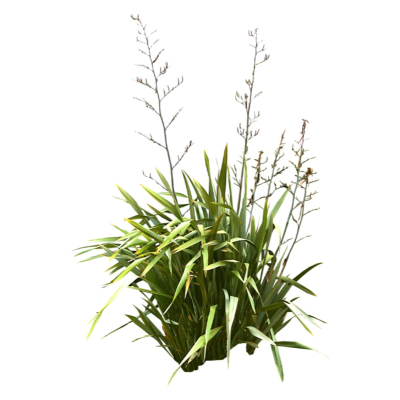 现代2d花草植物组件免费su模型(1)
