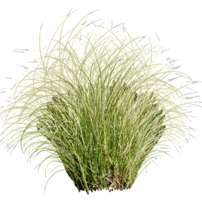 现代2d花草植物组件免费su模型(1)