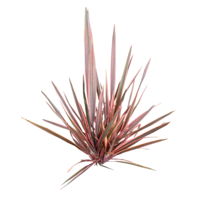 现代2d花草植物组件免费su模型(1)