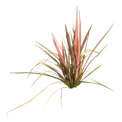 现代2d花草植物组件免费su模型(1)