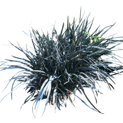 现代2d花草植物组件免费su模型(1)