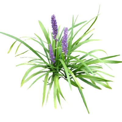 现代2d花草植物组件免费su模型(1)