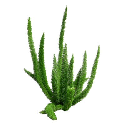 现代2d花草植物组件免费su模型(1)