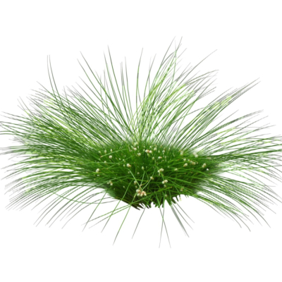 现代2d花草植物组件免费su模型(1)