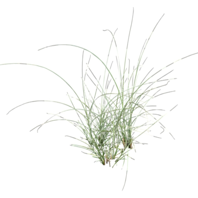 现代2d花草植物组件免费su模型(1)