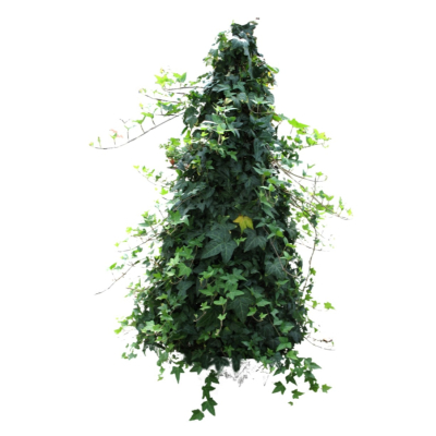 现代2d花草植物组件免费su模型(1)