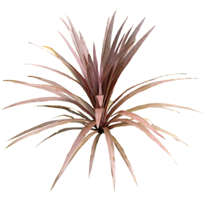 现代2d花草植物组件免费su模型(1)