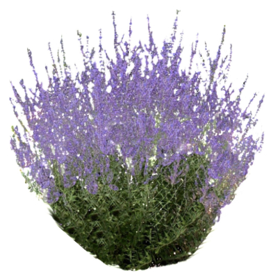 现代2d花草组件免费su模型(1)