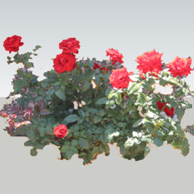 现代2d花草组件免费su模型(1)
