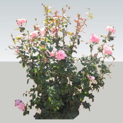 现代2d花草组件免费su模型(1)