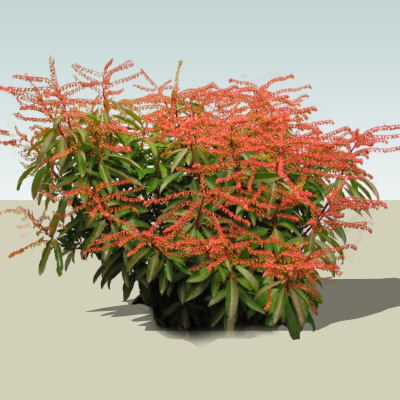 现代2d花草组件免费su模型(1)
