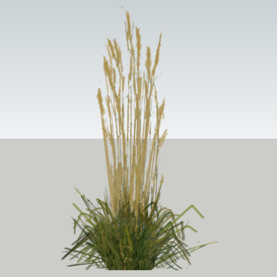 现代2d花草组件免费su模型(1)
