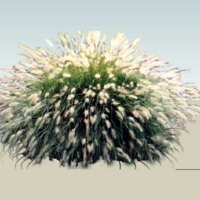现代2d花草组件免费su模型(1)
