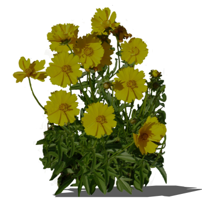 现代2d花草组件免费su模型(1)