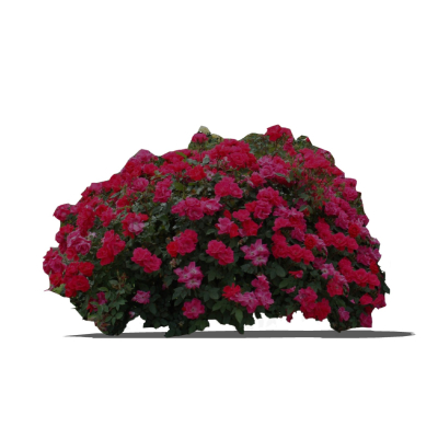 现代2d花草组件免费su模型(1)
