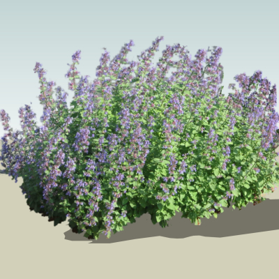 现代2d花草组件免费su模型(1)