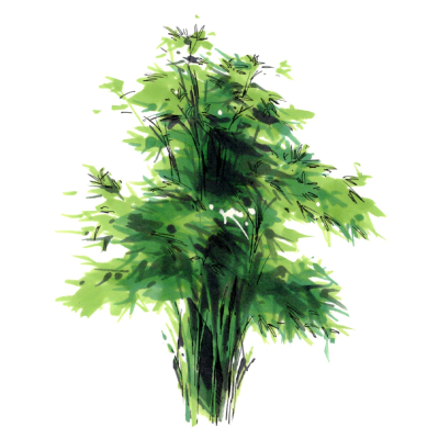 现代2d花草组件免费su模型(1)