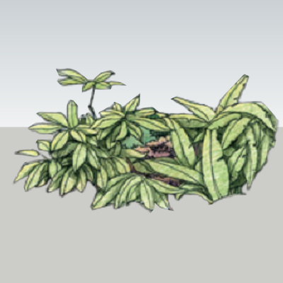 现代2d花草组件免费su模型(1)