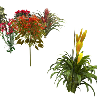 现代花草植物免费su模型(1)